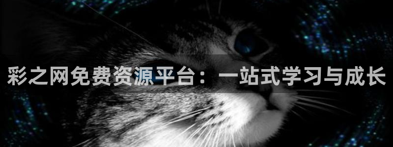 PG电子注册：彩之网免费资源平台：一站式学习与成长
