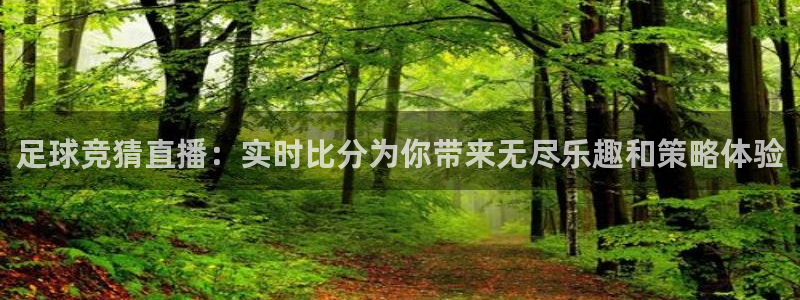 PG电子代理注册官网入口：足球竞猜直播：实时比分为你带来无尽乐趣和策略体验