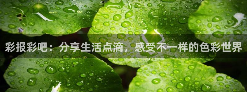 PG电子f平台注册：彩报彩吧：分享生活点滴，感受不一样的色彩世界