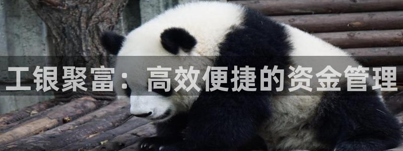 PG电子体育官网入口登录：工银聚富：高效便捷的资金管理
