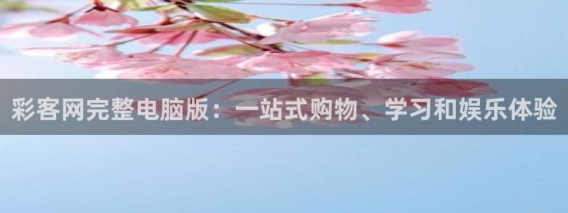 PG电子主管：彩客网完整电脑版：一站式购物、学习和娱乐体验