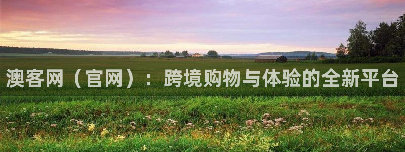 PG电子凯捷开号链接：澳客网（官网）：跨境购物与体验的全新平台